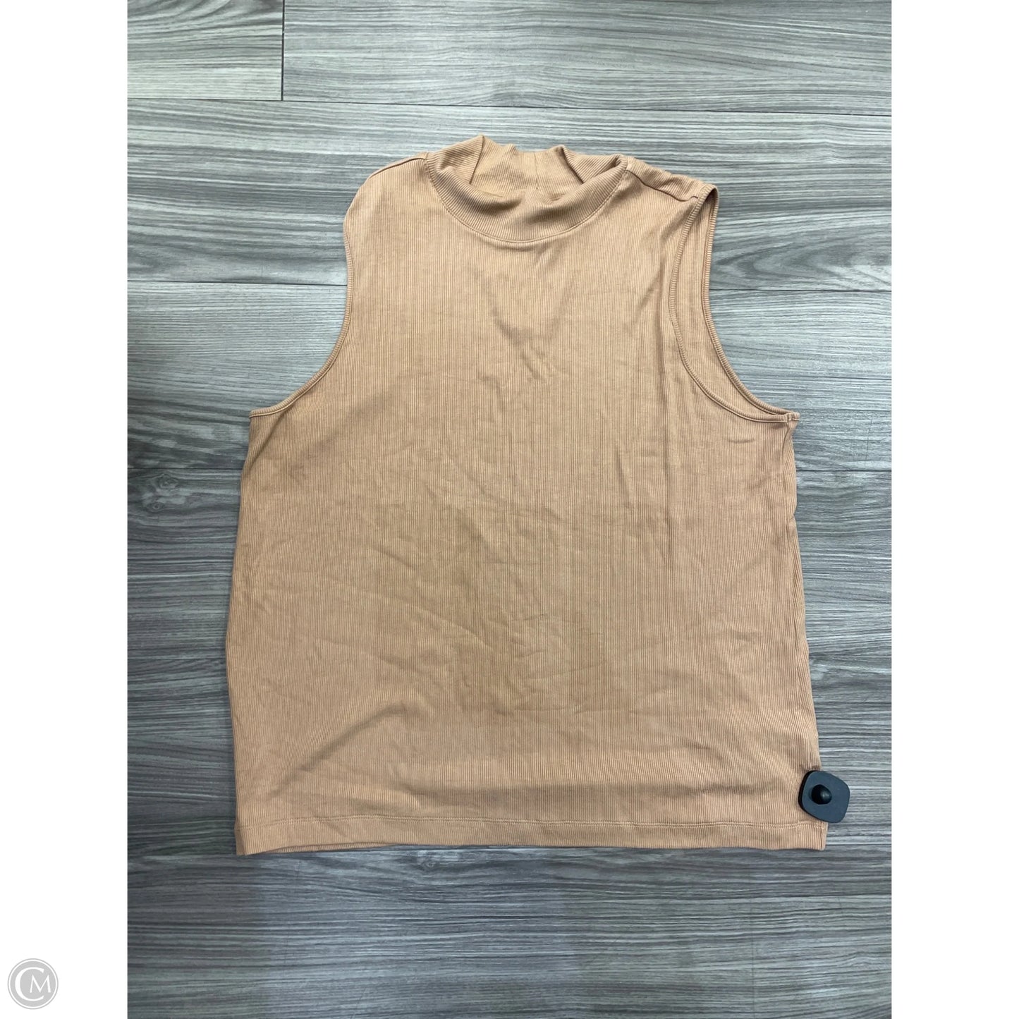 Top Sleeveless By Time And Tru In Tan, Size: 2x