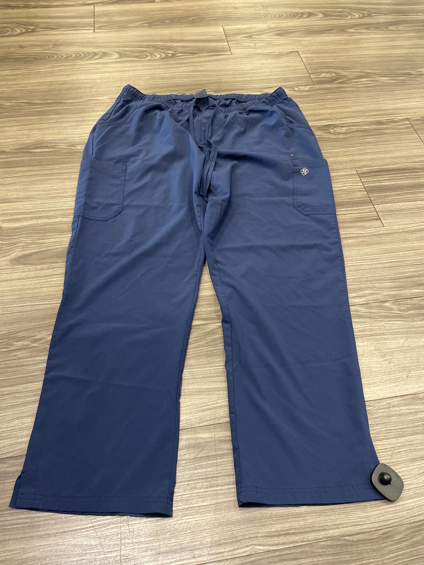 Blue Pants Cargo & Utility Clothes Mentor, Size Petite Xl