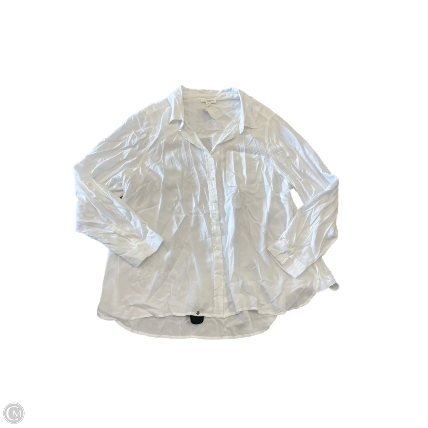 Top Long Sleeve By Beachlunchlounge In White, Size: 2x