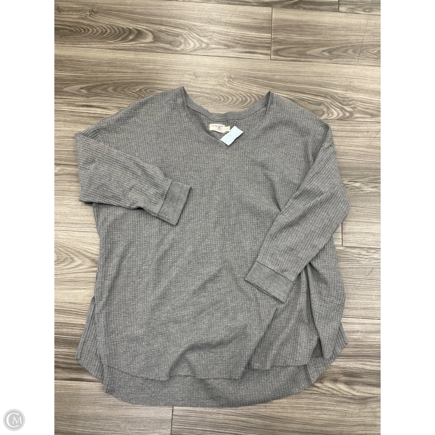 Top Long Sleeve By Terra & Sky In Grey, Size: 2x