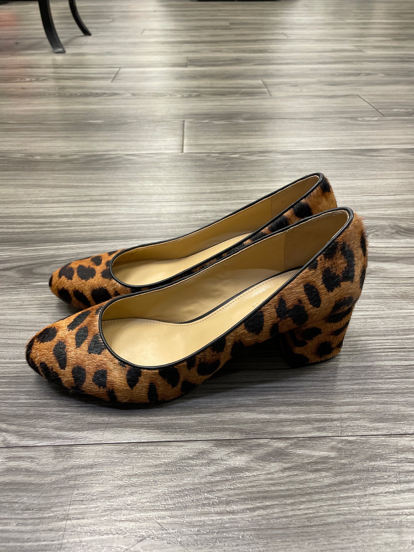 Shoes Heels Block By Talbots In Animal Print, Size: 8.5