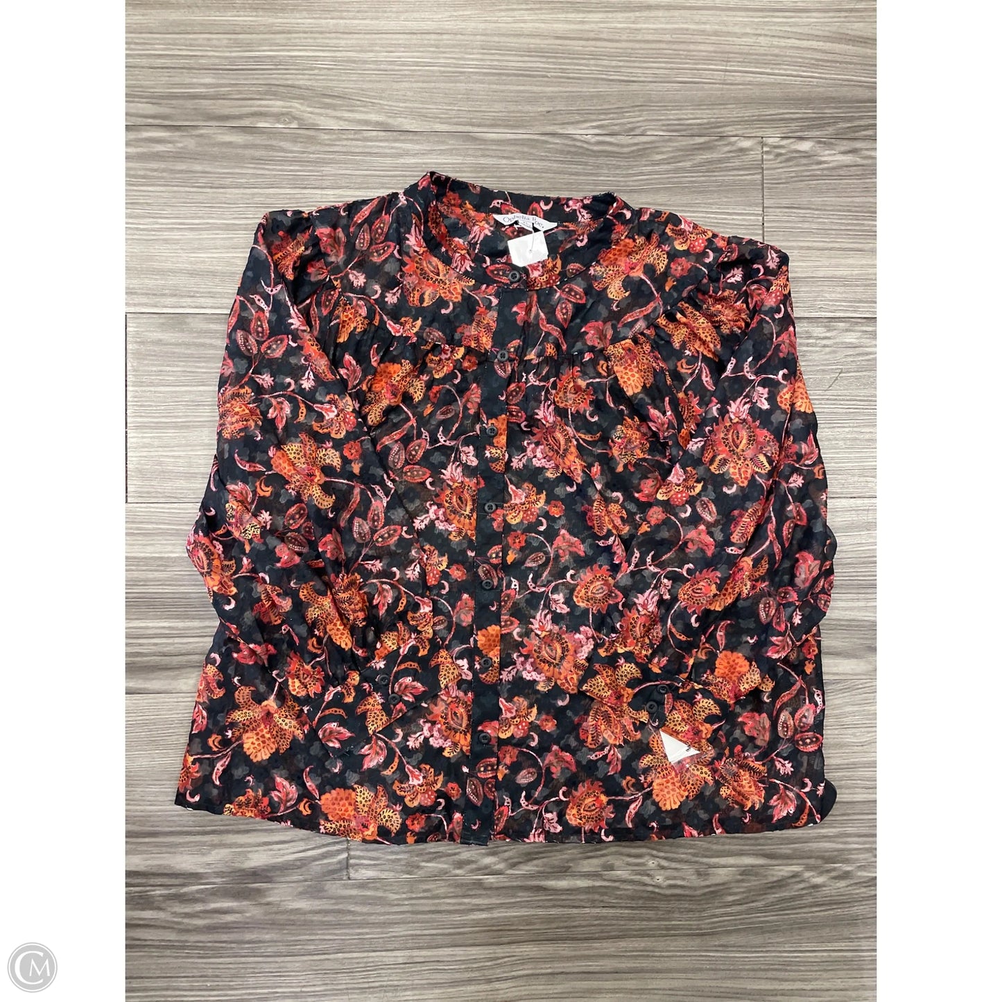 Top Long Sleeve By Ophelia Roe In Floral Print, Size: Xl