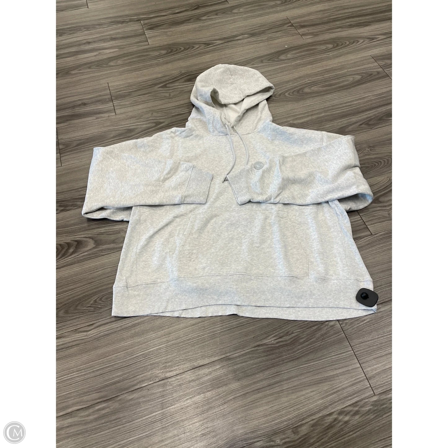 Sweatshirt Hoodie By Pink In Grey, Size: Xxl