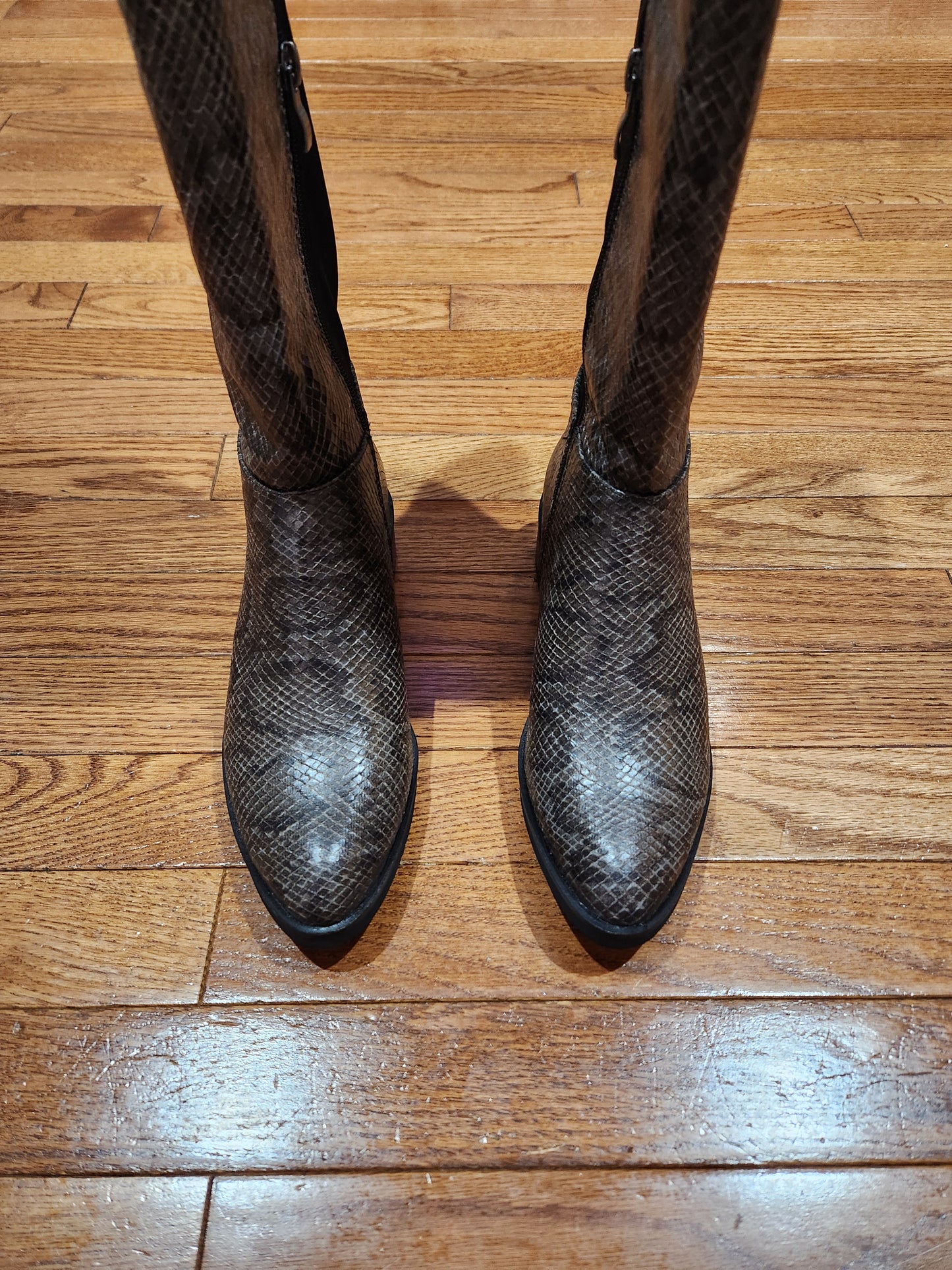 Boots Ankle Flats By Corkys Size: 7