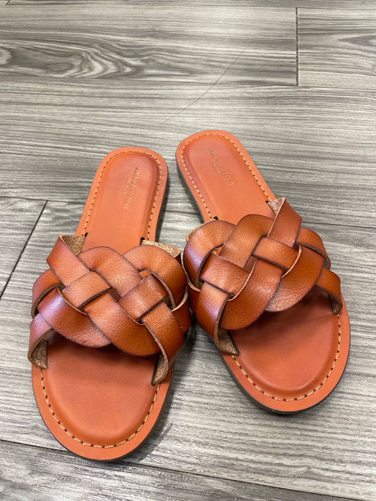 Sandals Flats By American Eagle  Size: 6