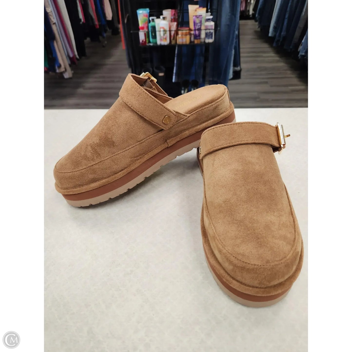 Shoes Flats By Madden Girl In Brown, Size: 6