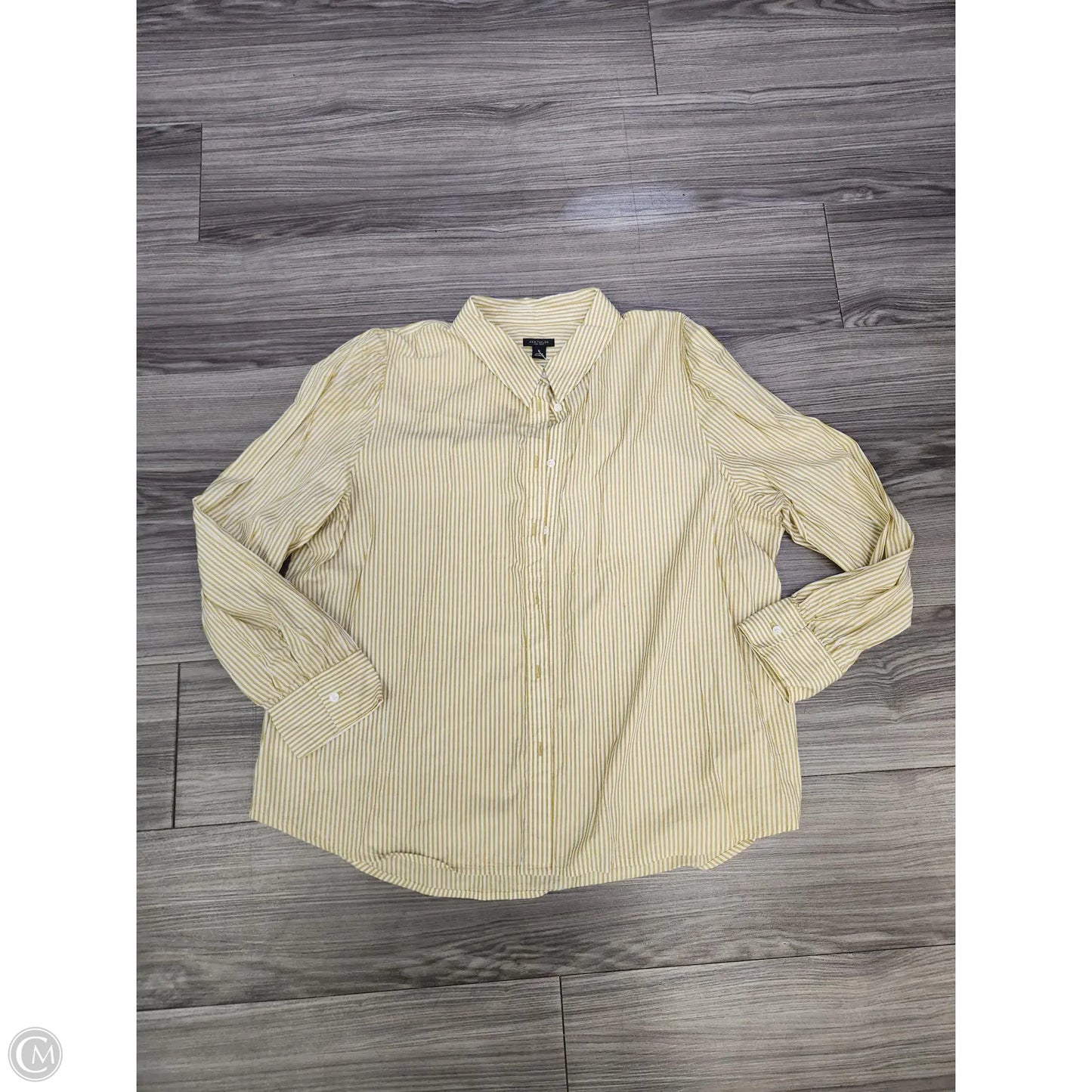 Blouse Long Sleeve By Ann Taylor In Striped Pattern, Size: Xl