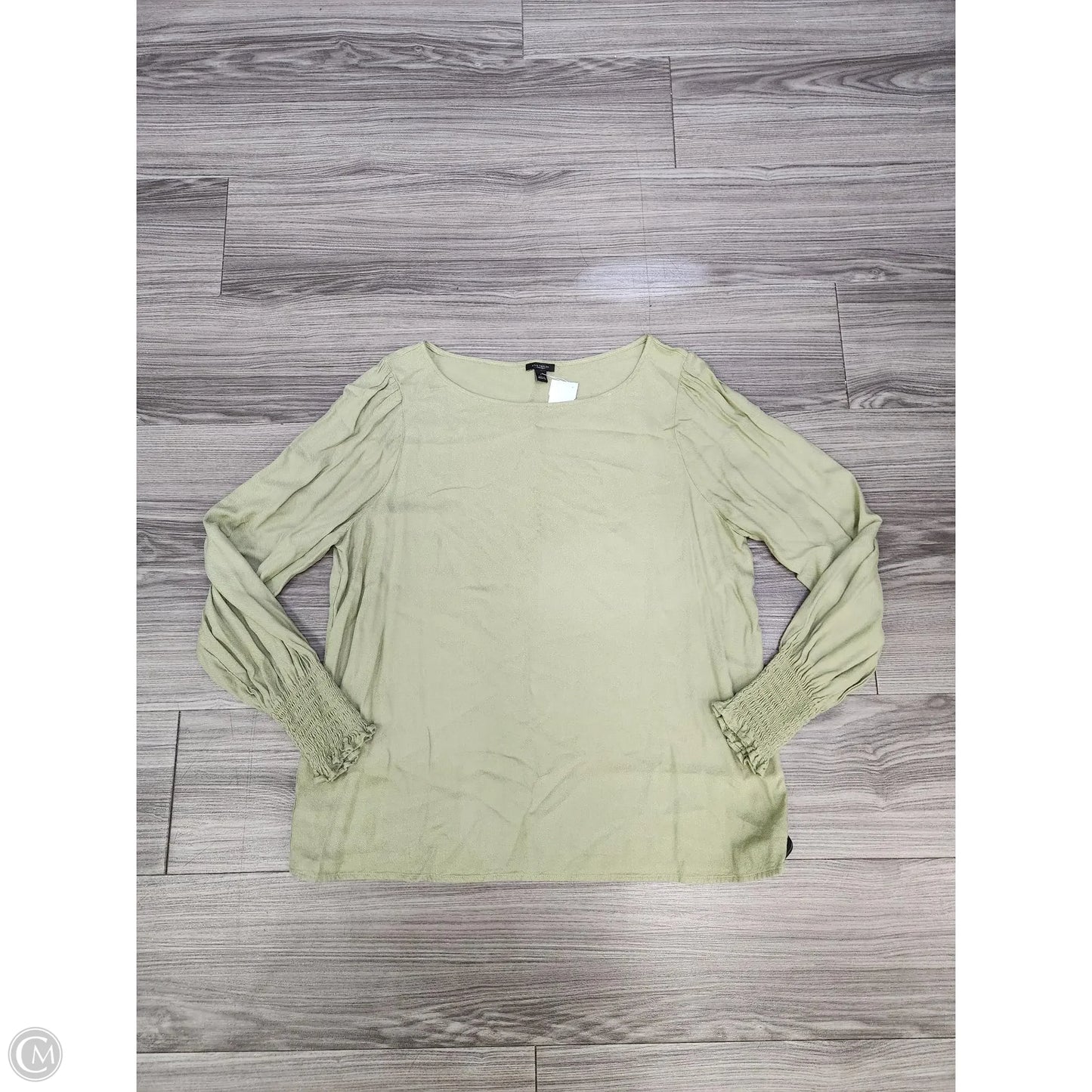 Top Long Sleeve Basic By Ann Taylor In Green, Size: L