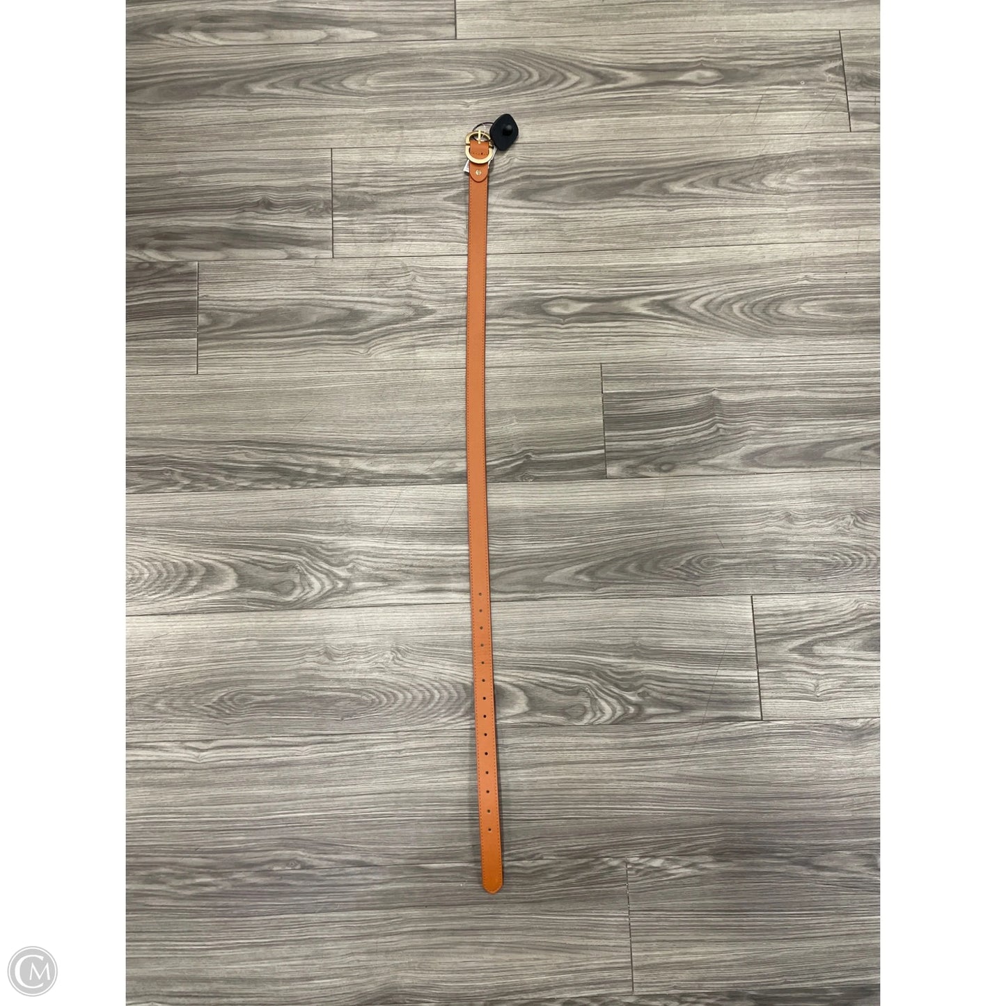 Belt By Clothes Mentor