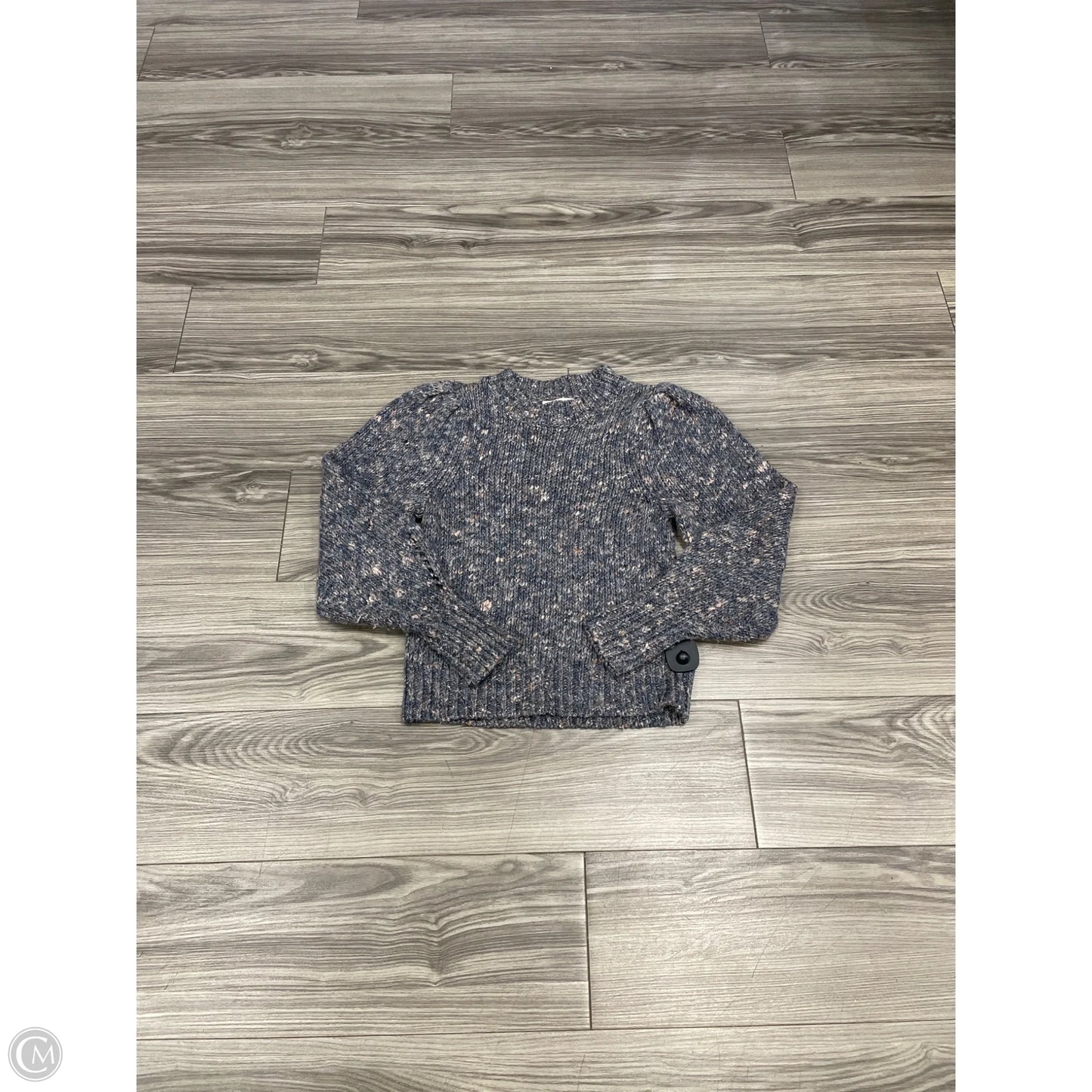 Sweater By Madewell In Blue & Brown, Size: Xxs