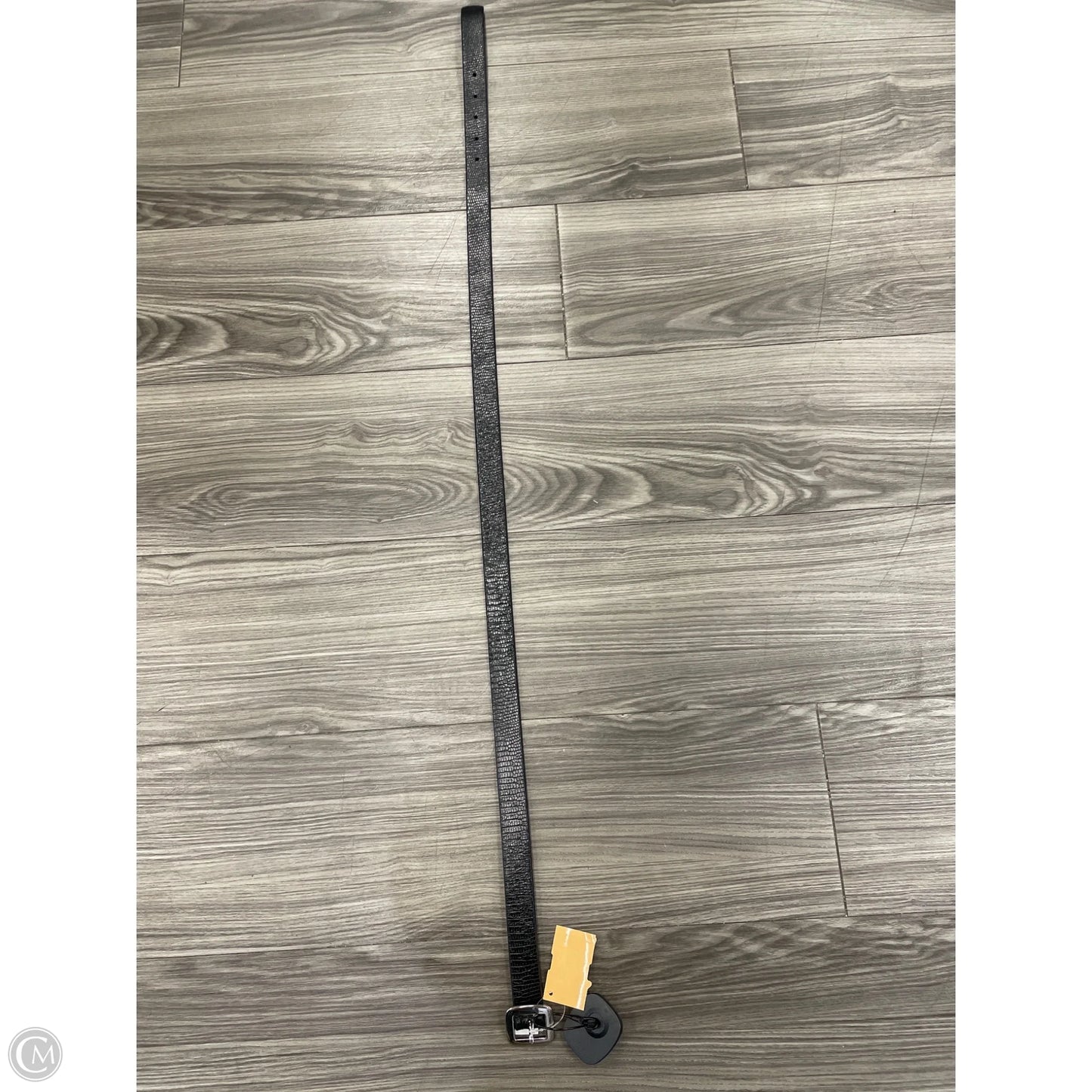 Belt By Clothes Mentor