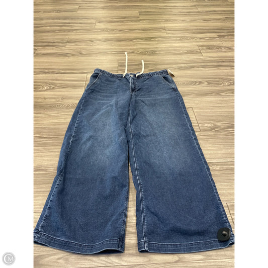 Jeans Wide Leg By American Eagle In Blue Denim, Size: Xl