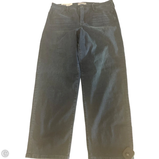 Jeans Straight By Social Standard By Sanctuary In Blue Denim, Size: 16