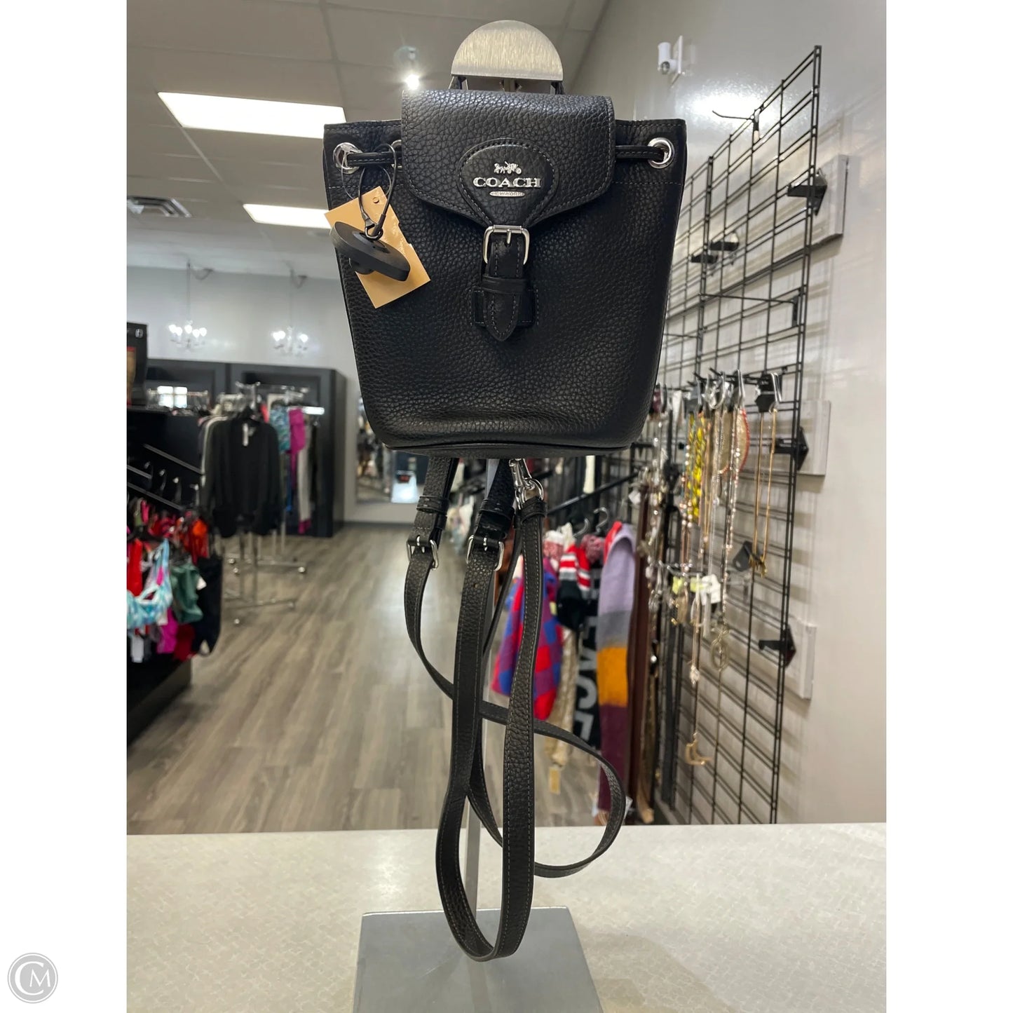 Backpack Designer By Coach, Size: Small