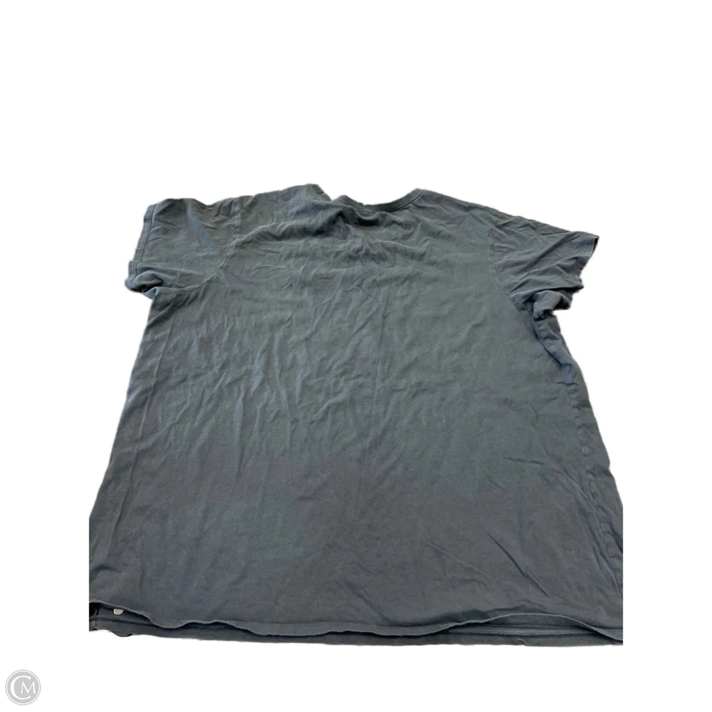 Top Short Sleeve By Torrid In Grey, Size: 3x