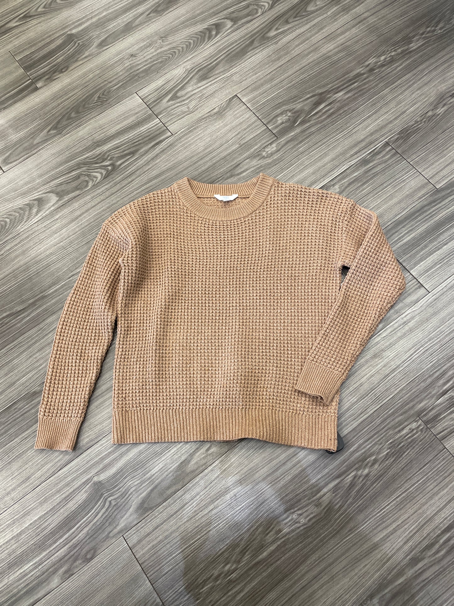 Sweater By Time And Tru In Brown, Size: M