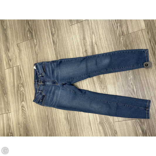 Jeans Skinny By Tahari By Arthur Levine In Blue, Size: 2
