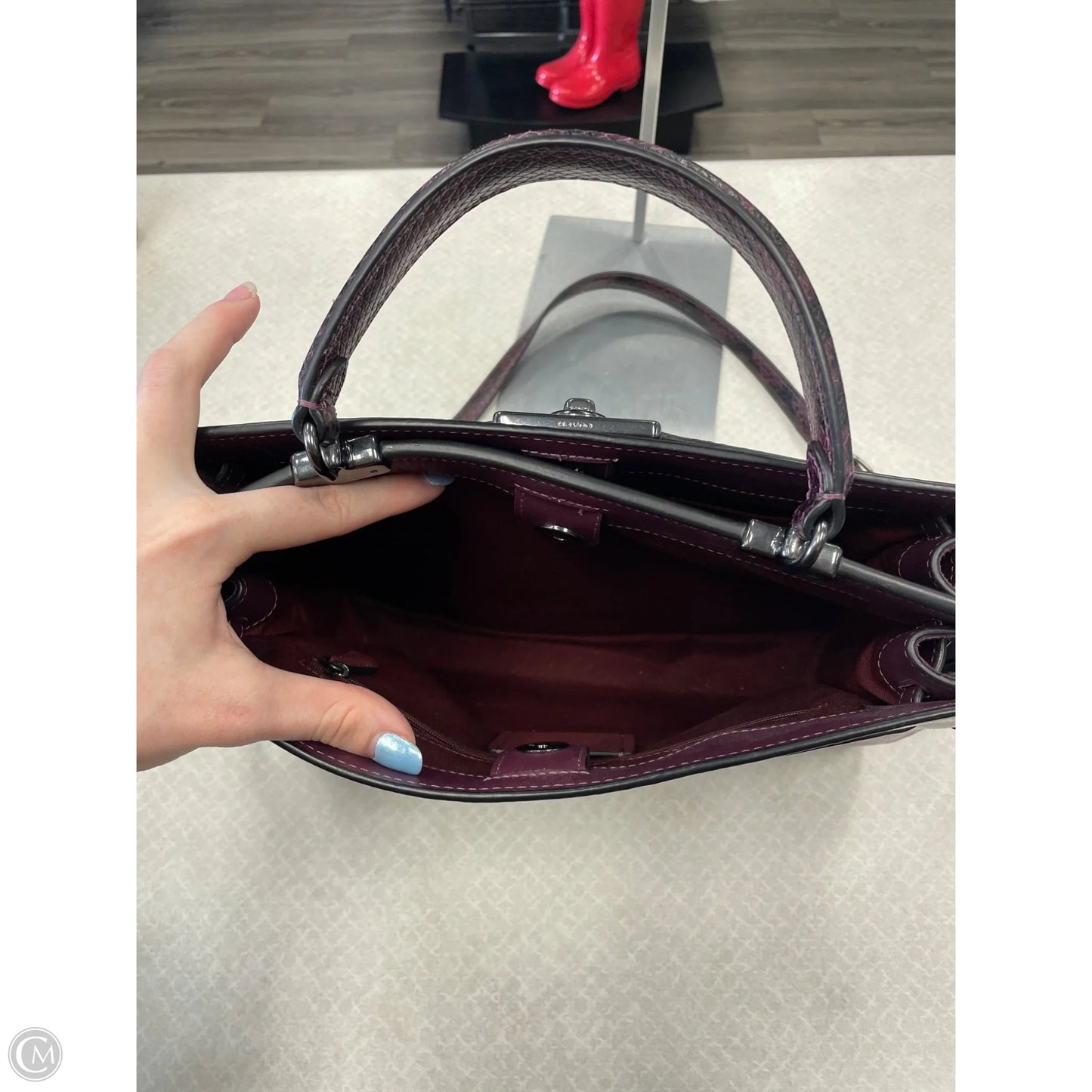 Crossbody Designer By Coach, Size: Large