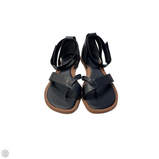 Sandals Heels Block By Franco Sarto In Black & Brown, Size: 8