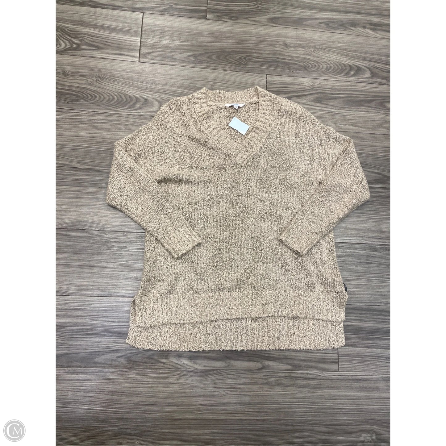 Sweater By Time And Tru In Brown, Size: L