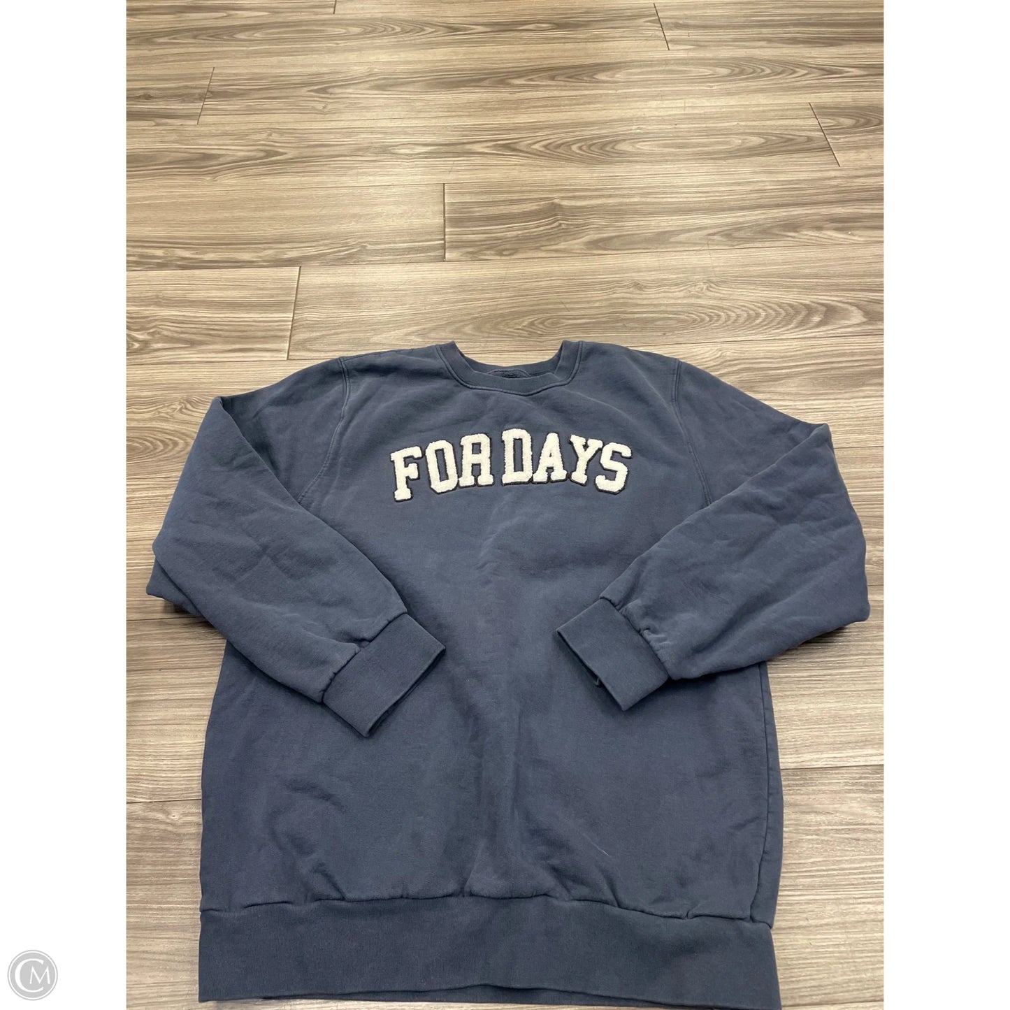 Sweatshirt Crewneck By Clothes Mentor In Blue, Size: L