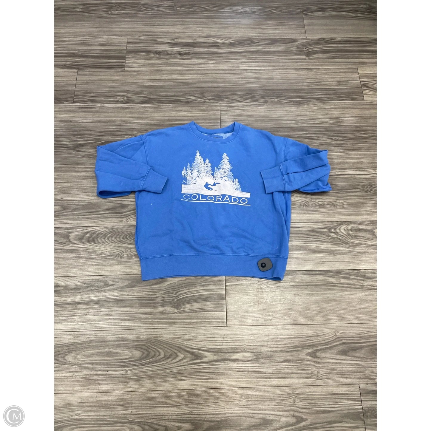 Sweatshirt Collar By American Eagle In Blue, Size: M