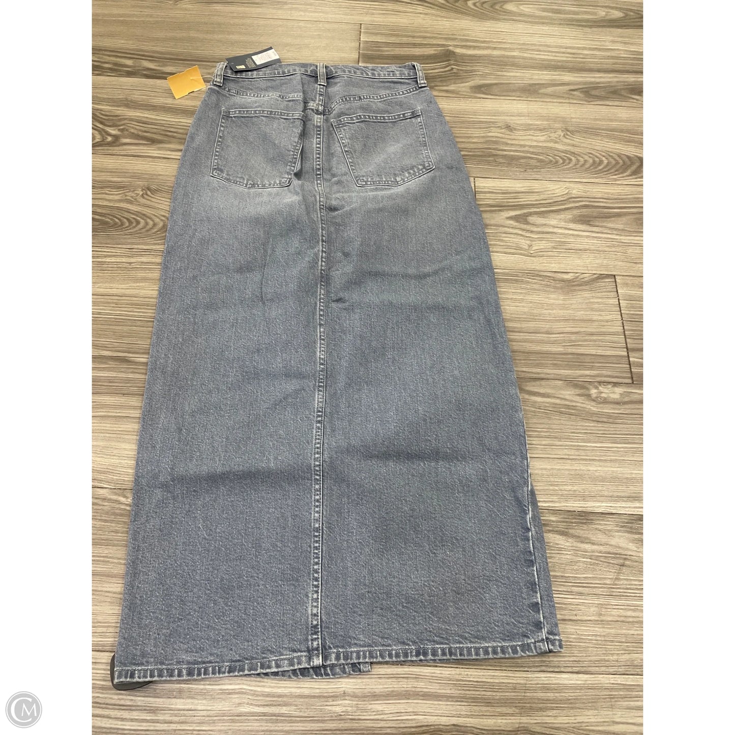 Skirt Maxi By Universal Thread In Blue, Size: 6