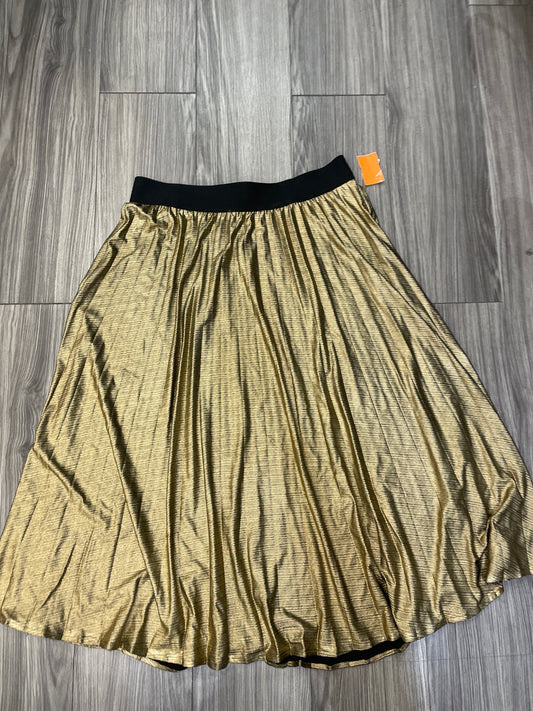 Skirt Maxi By Time And Tru  Size: L